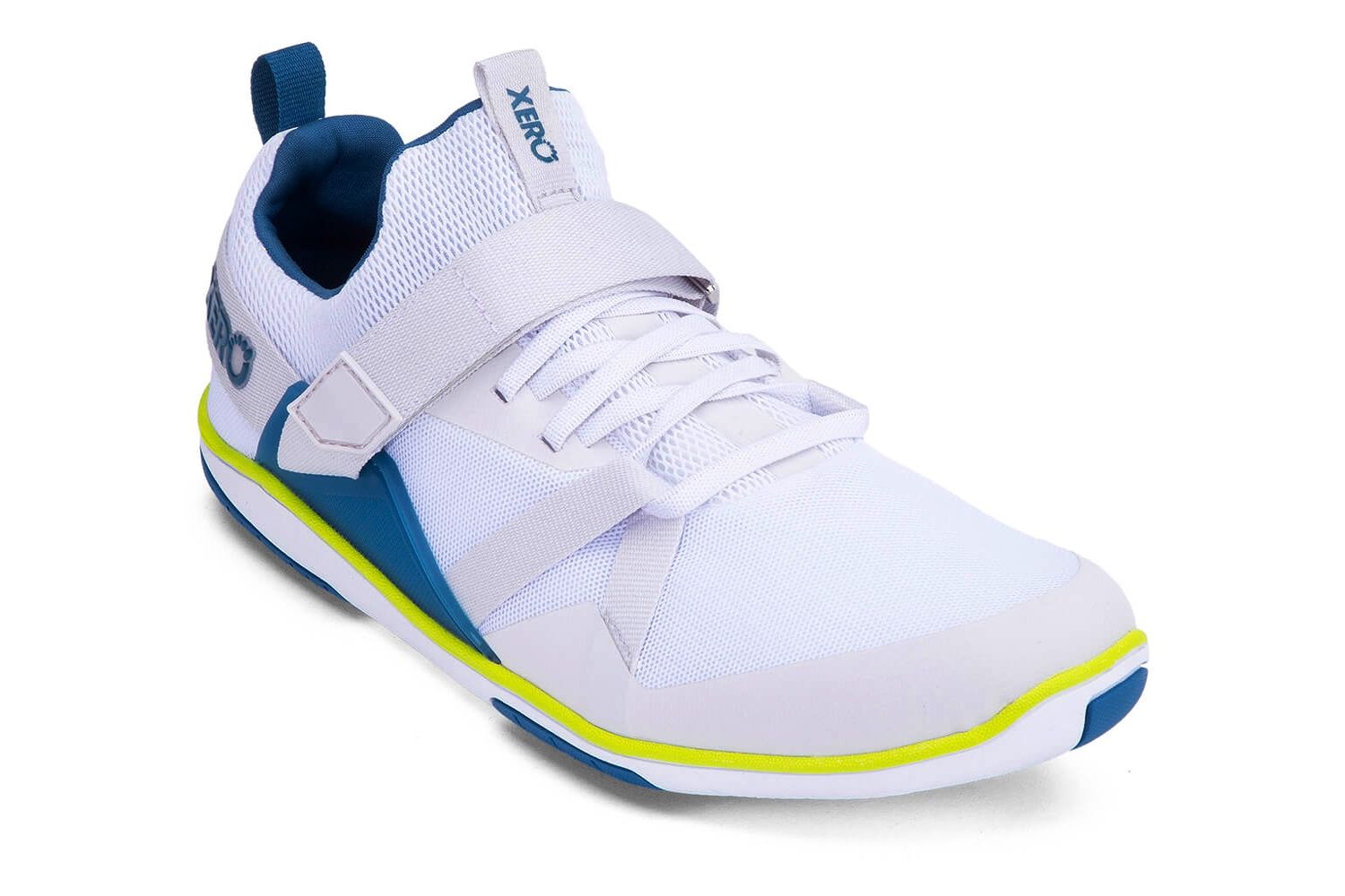 xero forza trainer angle