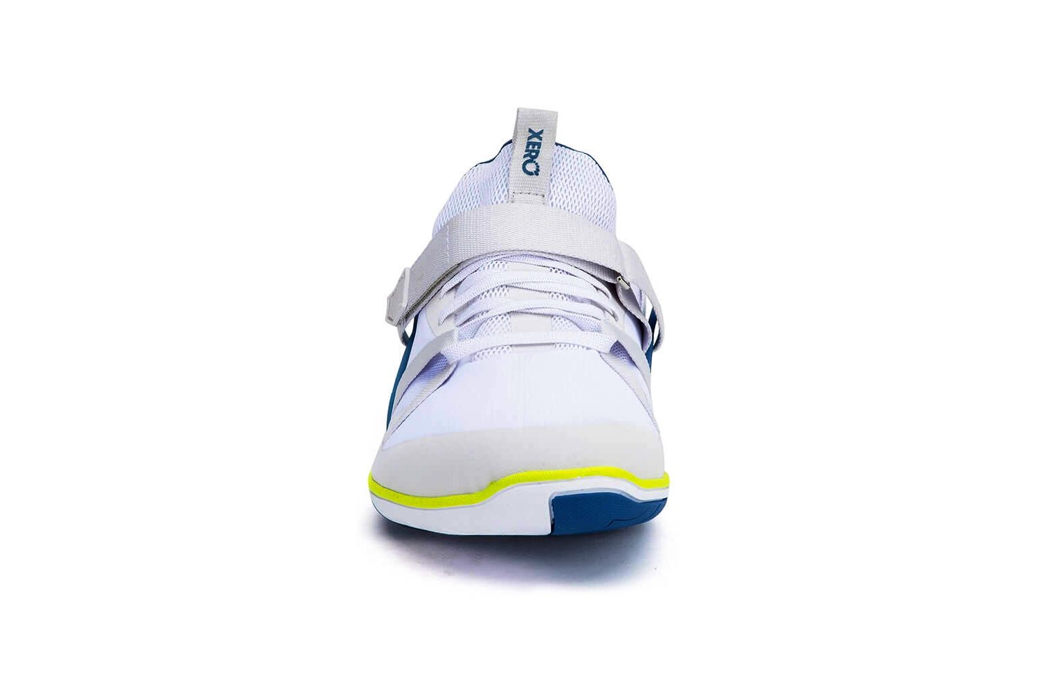 xero forza trainer front