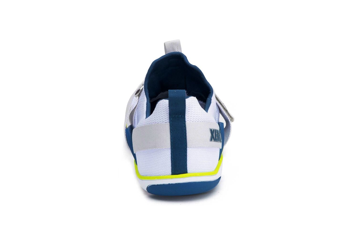 xero forza trainer heel