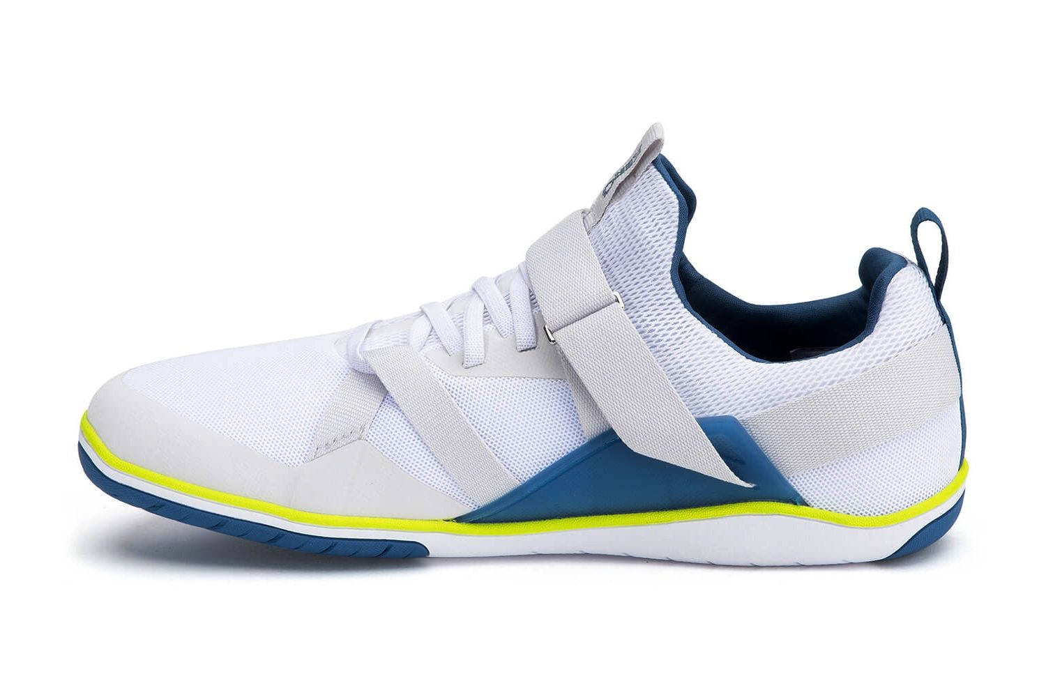 xero forza trainer instep