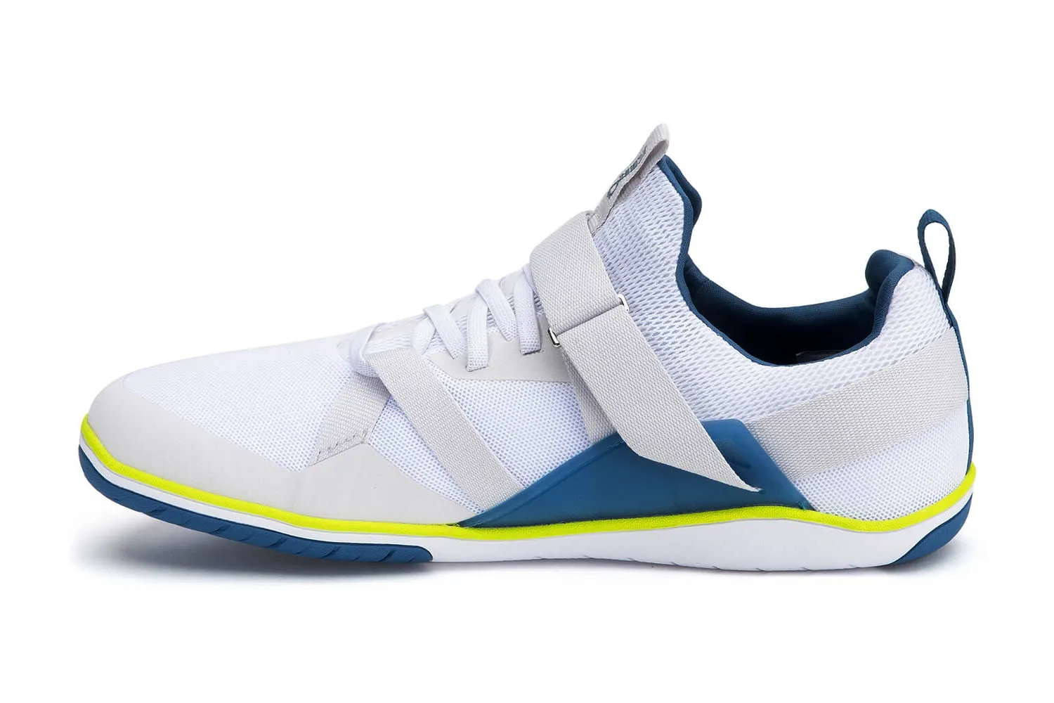 xero forza trainer instep