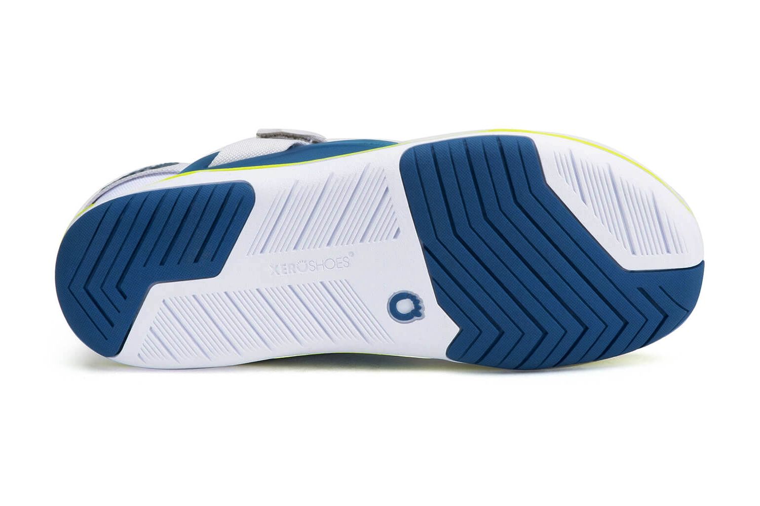 xero forza trainer sole