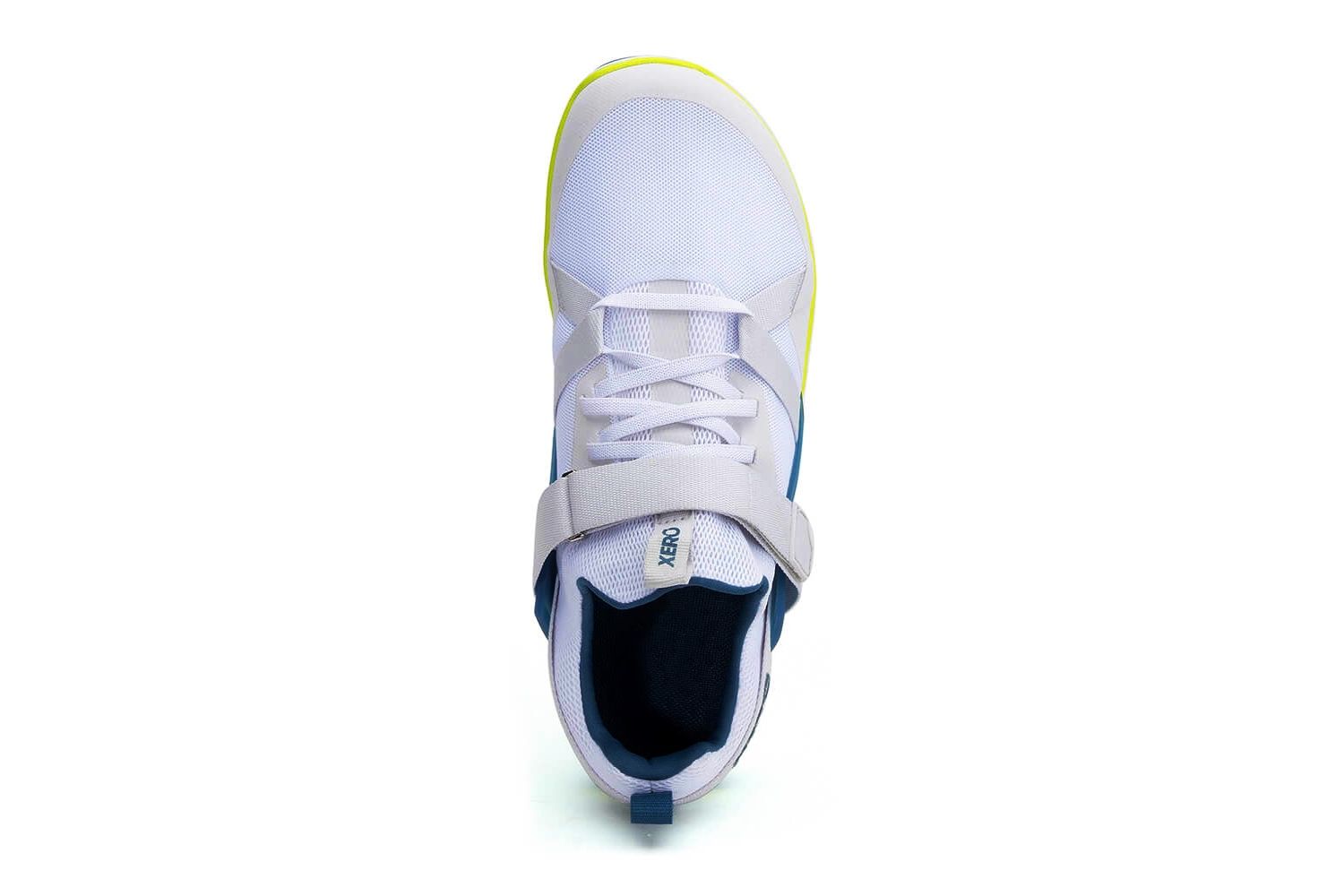 xero forza trainer upper